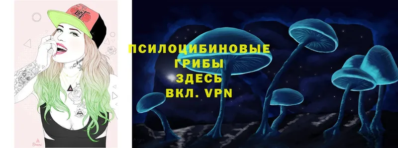 наркошоп  Мамоново  Галлюциногенные грибы Psilocybe 